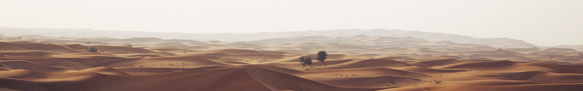 έԶƼ޹˾